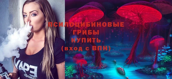 ешки Абинск