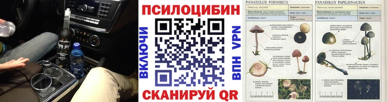 darknet формула  Норильск  Галлюциногенные грибы ЛСД 